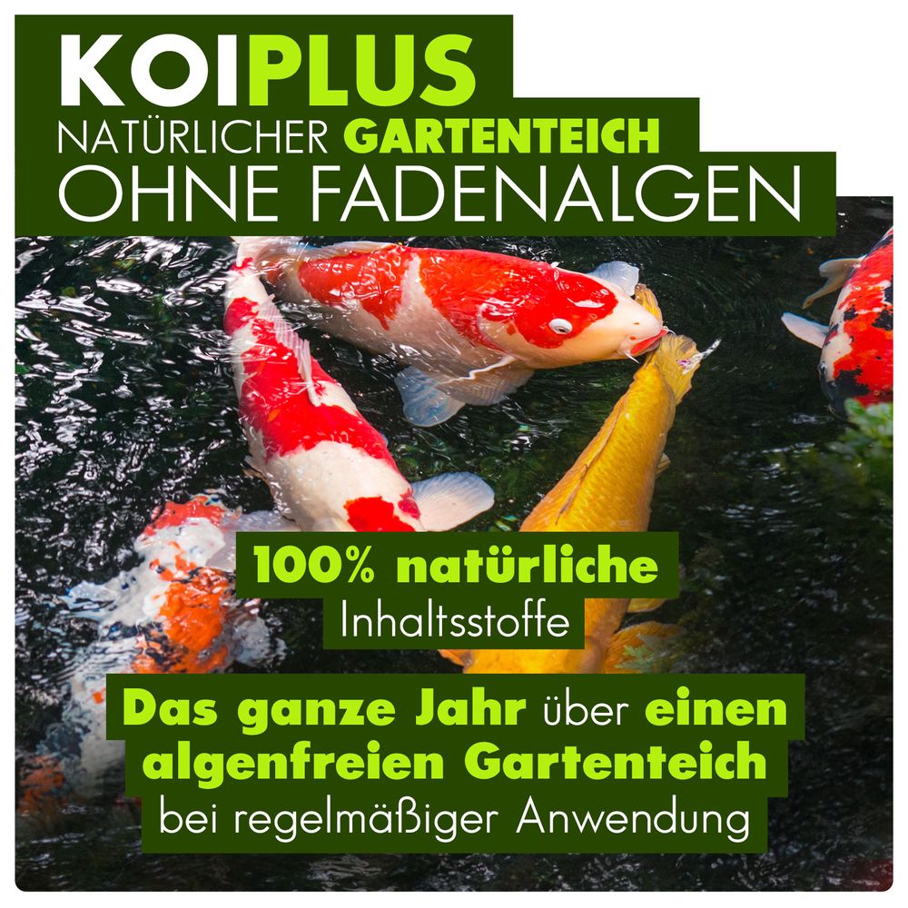 primuspet KOIPLUS Natürlicher Teich ohne Fadenalgen