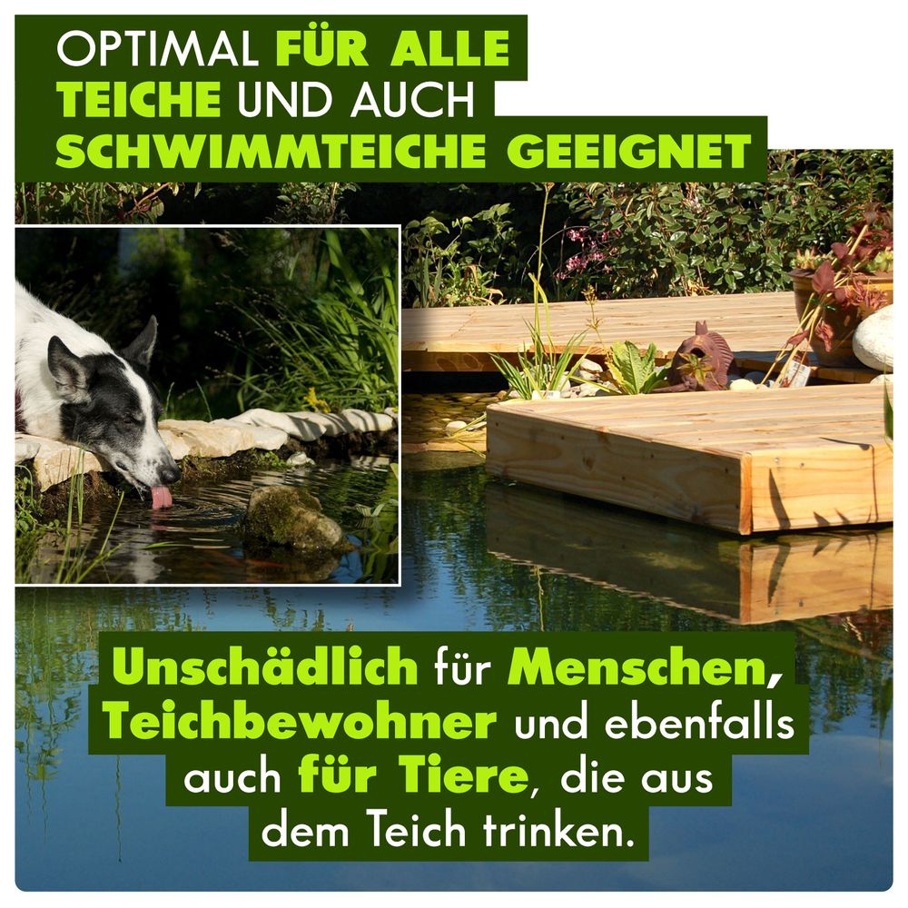 primuspet KOIPLUS Natürlicher Teich ohne Fadenalgen