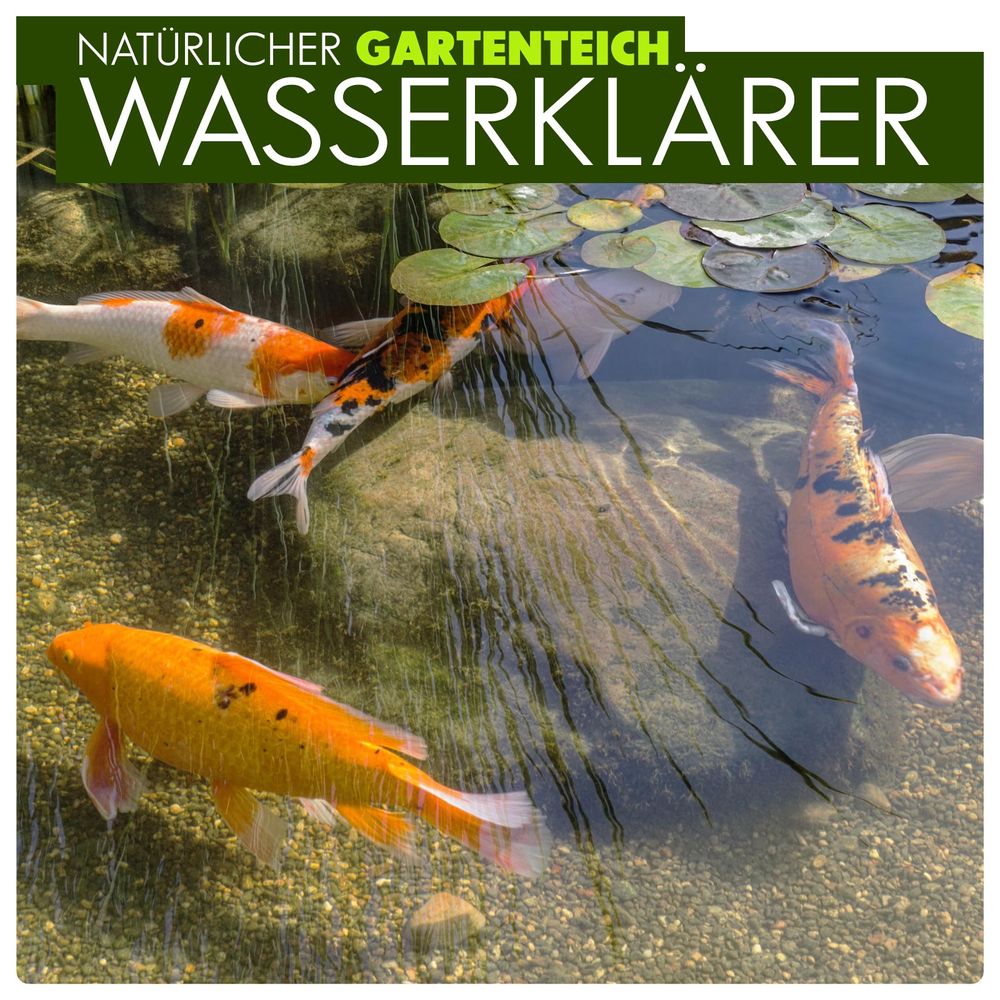 primuspet BioNature Natürlicher Wasserklärer Teichklar für Ihren Gartenteich bei Zoofux