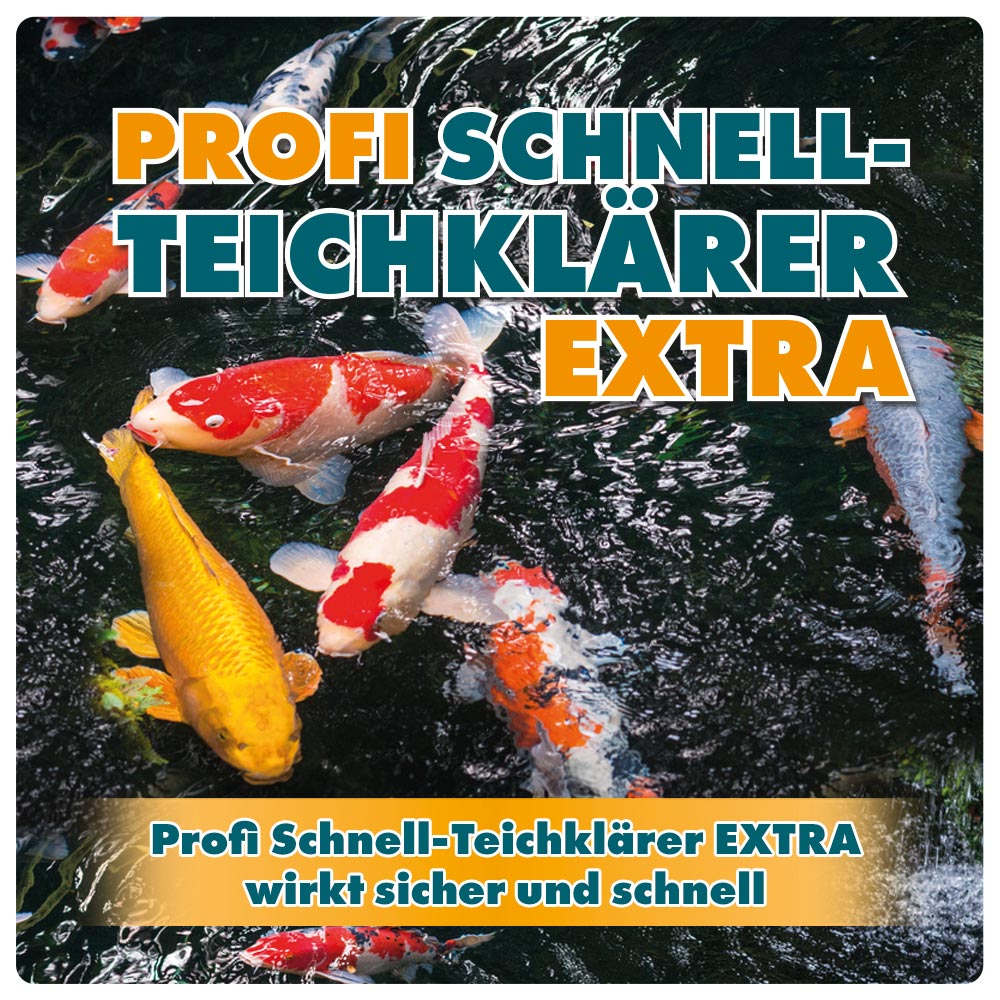 ZOOFUX Profi Schnell-Teichklärer EXTRA
