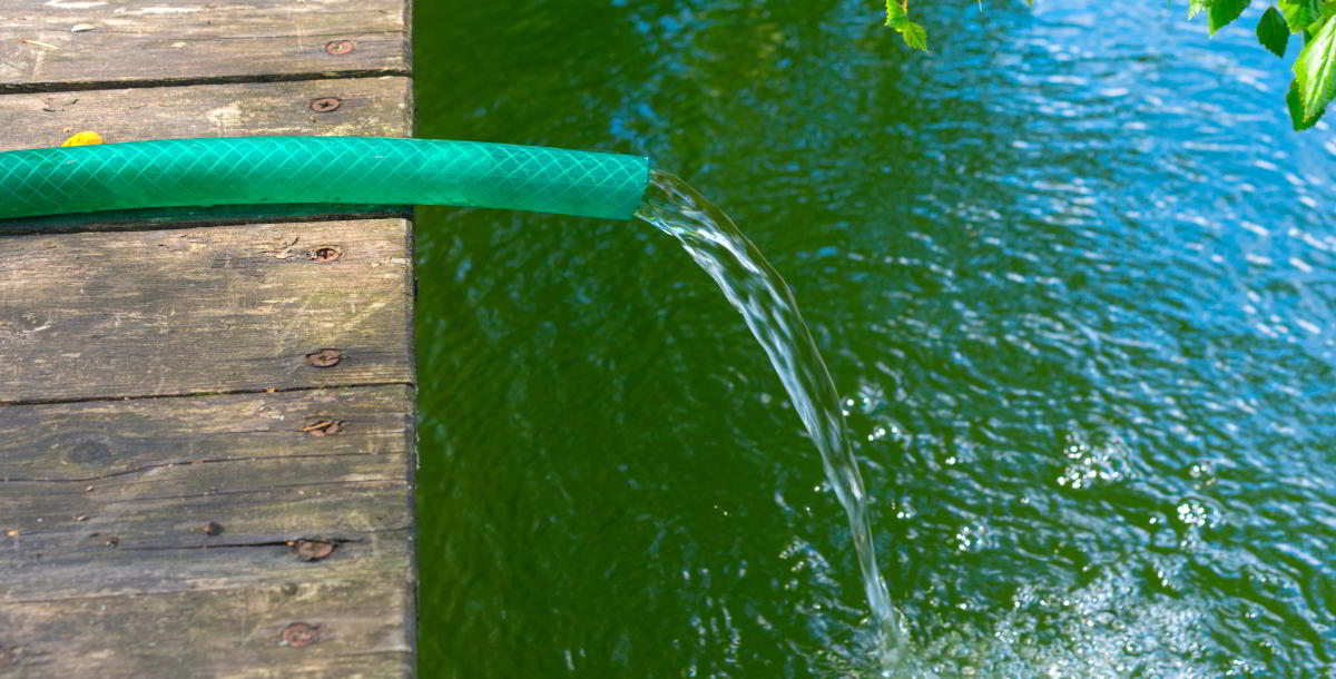 Frischwasser zuführen, um Sauerstoffgehalt im Teich zu erhöhen