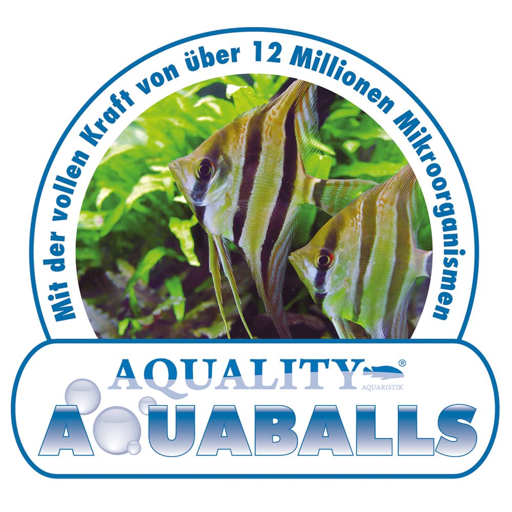 AQUALITY AQUABALLS - Mit über 12 Millionen (12.500.000) Mikroorganismen pro AQUABALL