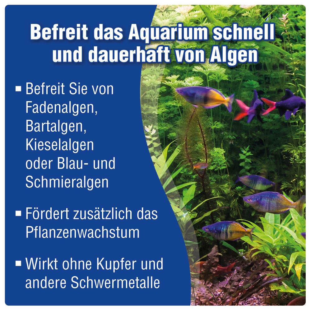 AQUALITY Algen-EX für Ihr Aquarium