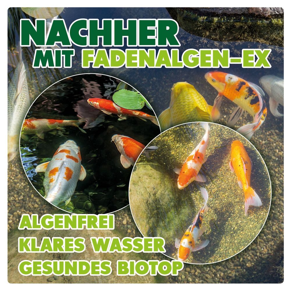 AQUALITY Fadenalgen-EX Flüssig POND für den Gartenteich