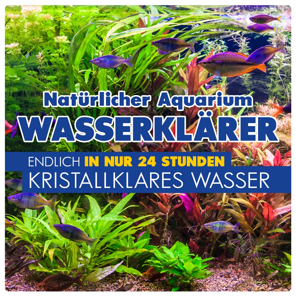 primuspet Natürlicher Aquarium Wasserklärer