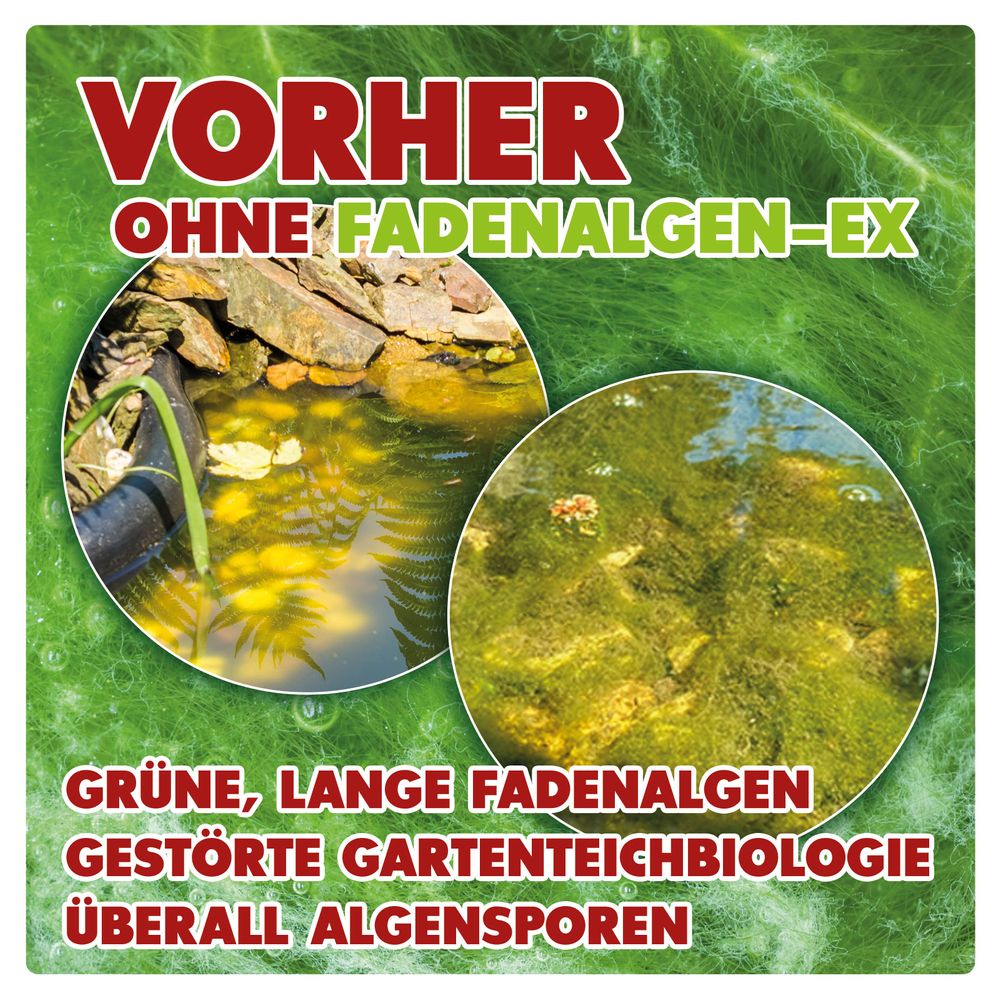 AQUALITY Fadenalgen-EX Flüssig POND für den Gartenteich