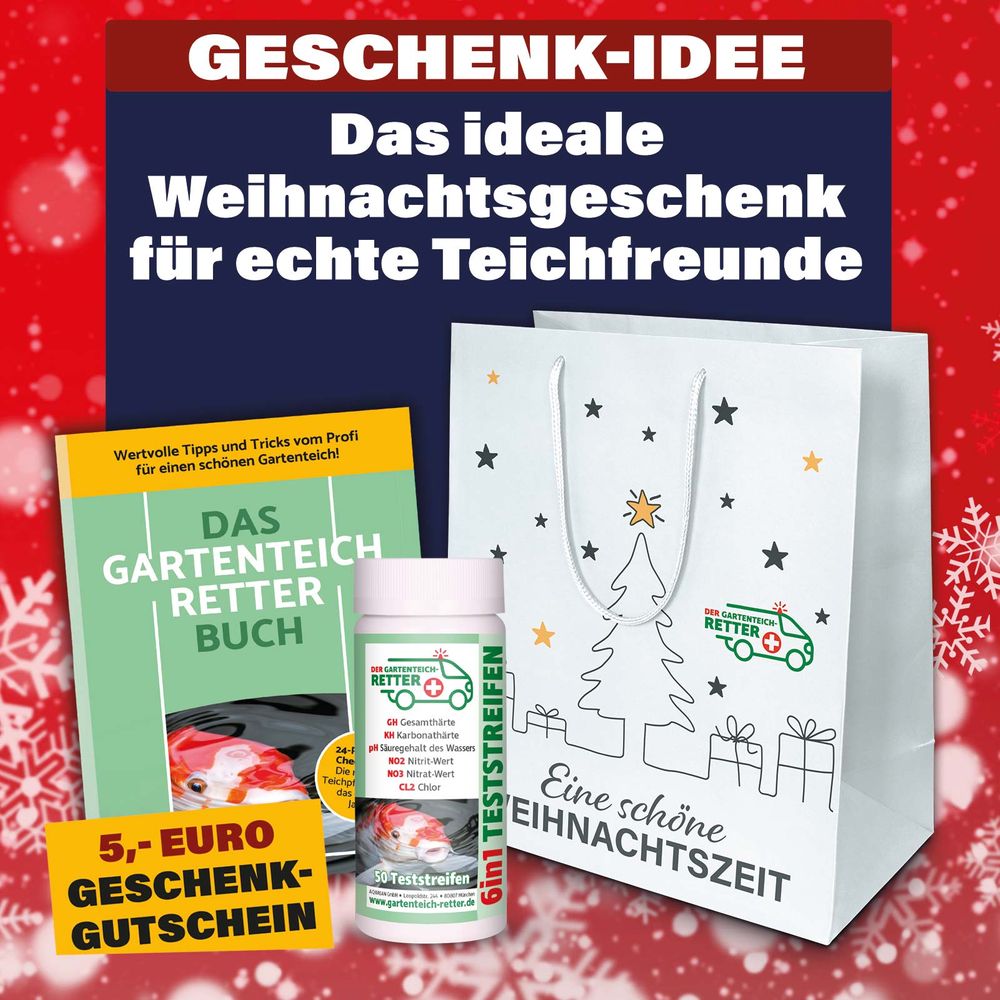 GESCHENK-IDEE: Weihnachtstüte - Prall gefüllt mit 3 tollen Gechenken für den Gartenteich