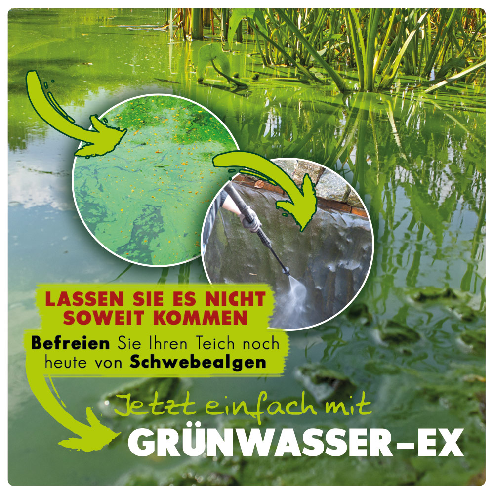 AQUALITY Grünwasser-EX POND für den Gartenteich
